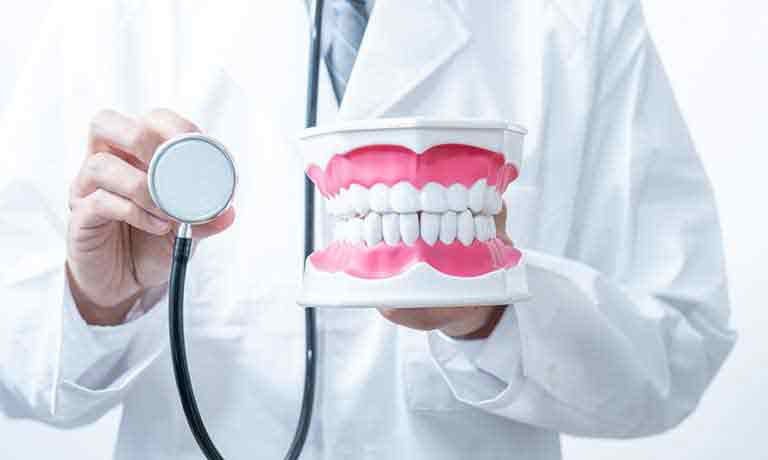 歯の模型を持つ医師